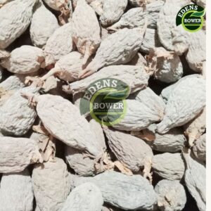 50pc Alligator Pepper (Ataare)