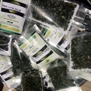 Dried Cotonou Periwinkle