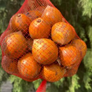 Personal Shopper in Mowe