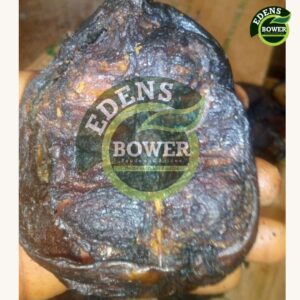 300pc of Mangala Fish(Big Size)