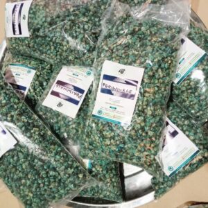 600g of Fresh Cotonou Periwinkle