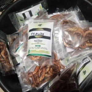 A paint of big Prawn